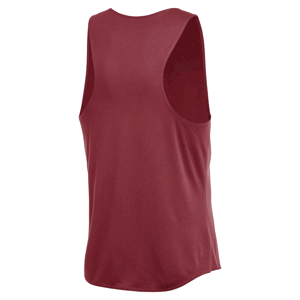 Nike Men's Dri-Fit Stock Fast Singlet