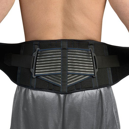 ProTec Premium Back Support
