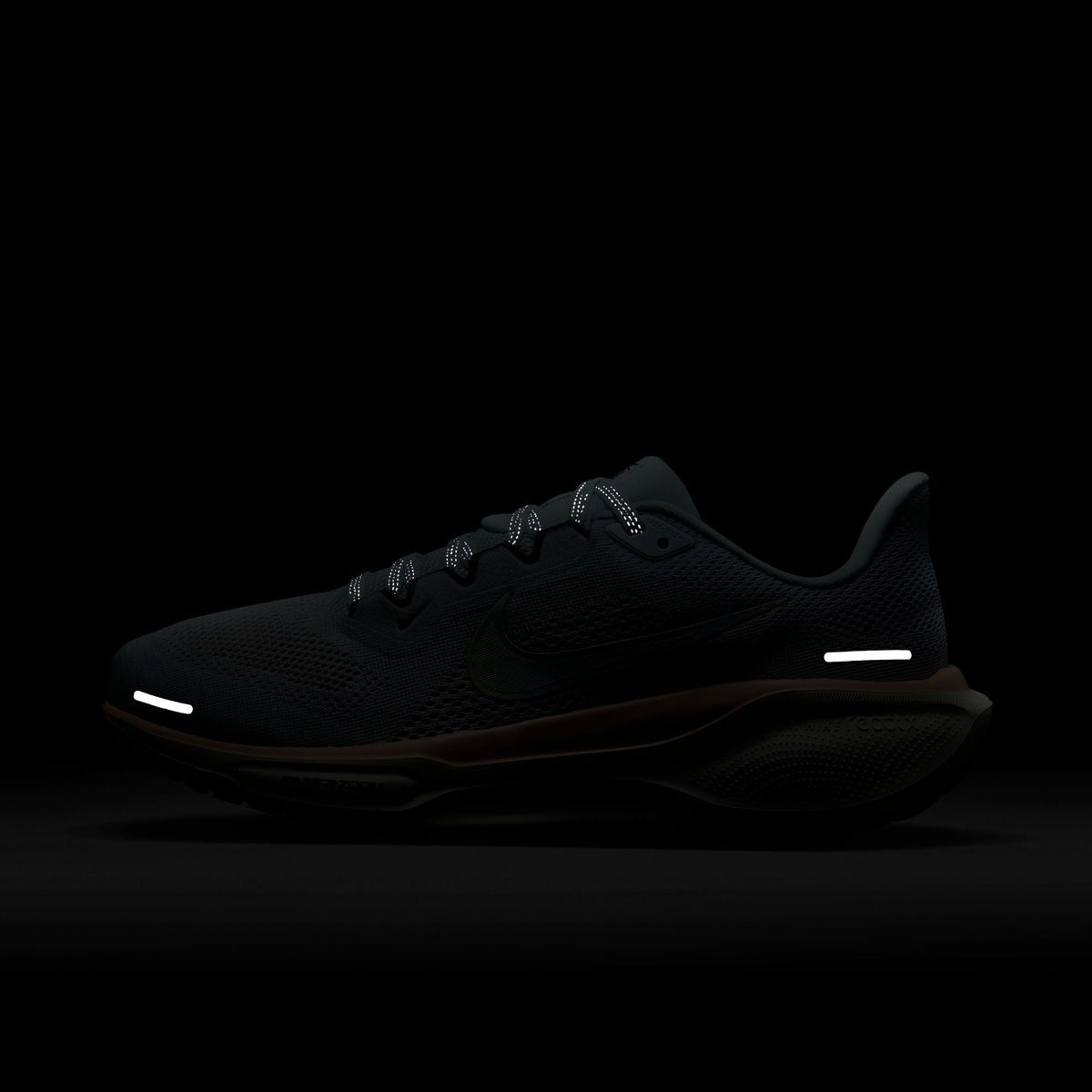 Nike Pegasus 41 PRM Women's Road Running Shoes