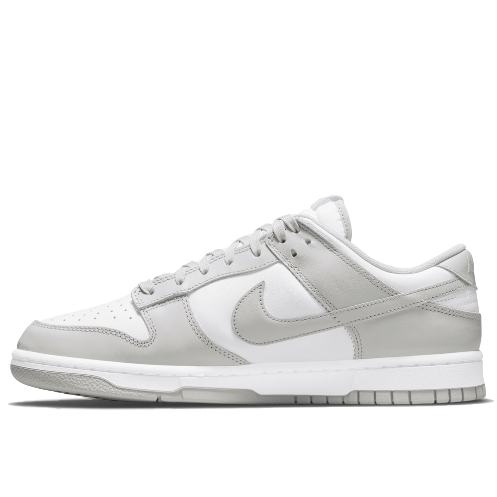 Nike Dunk Low Retro Men's Shoes