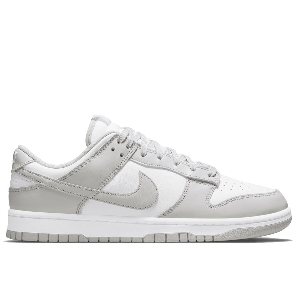 Nike Dunk Low Retro Men's Shoes