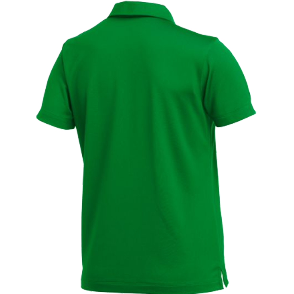 Nike Women's Dry Franchise Polo