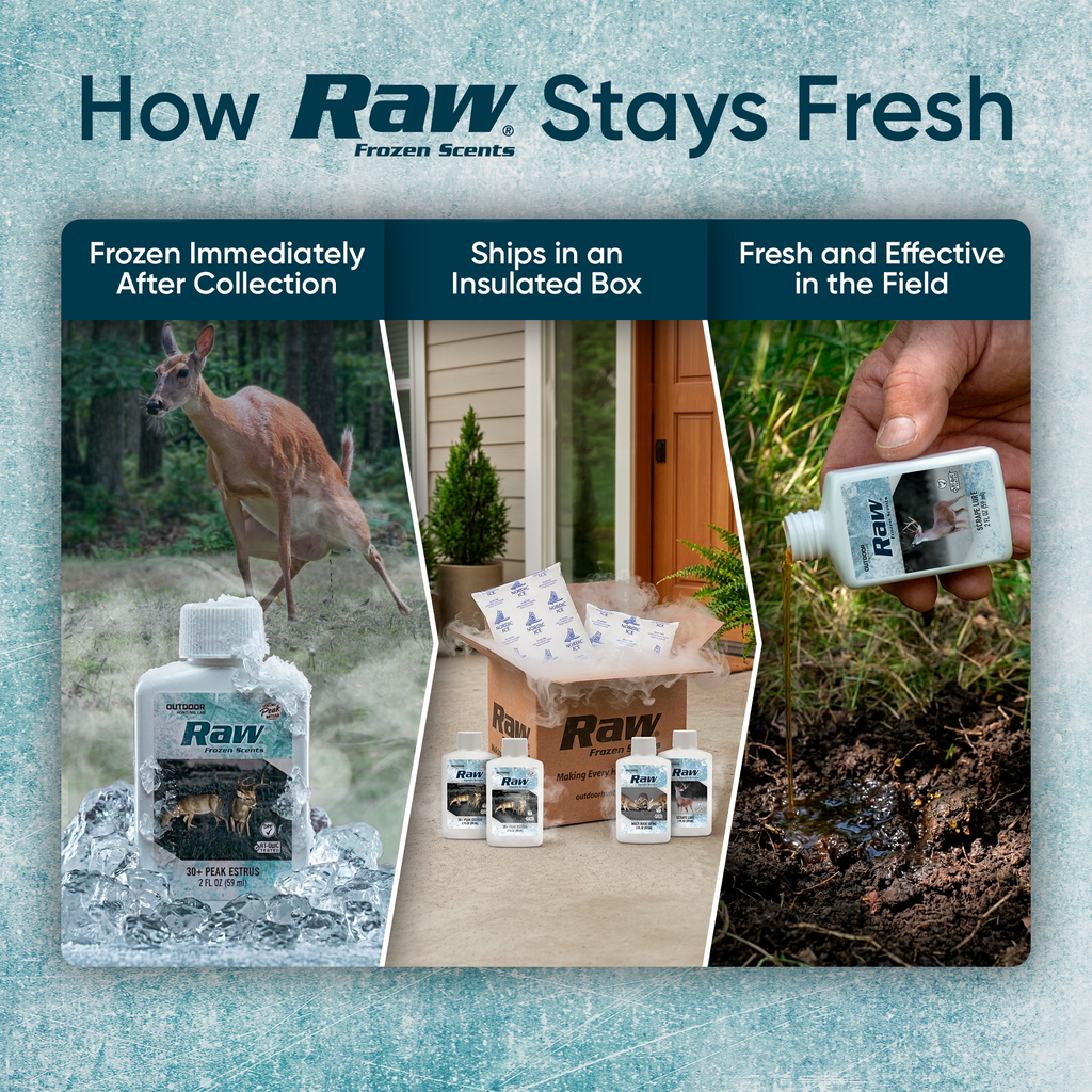 Team200 Rut Package