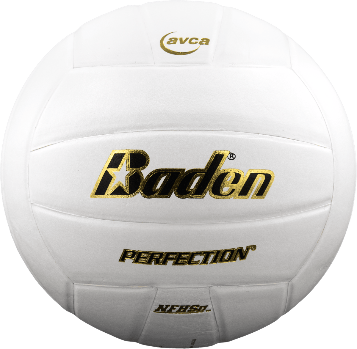 Perfection Leather Volleyball