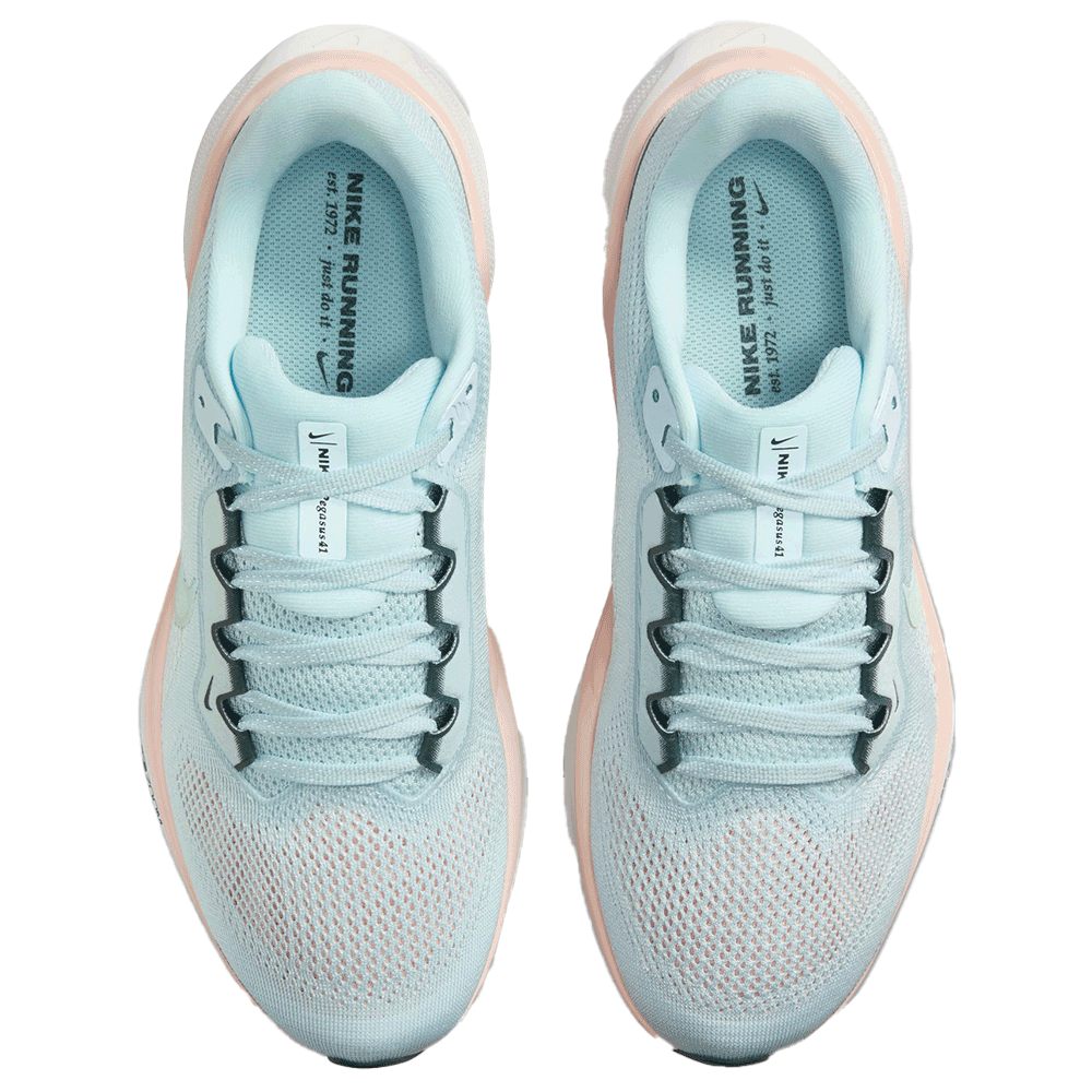 Nike Pegasus 41 PRM Women's Road Running Shoes