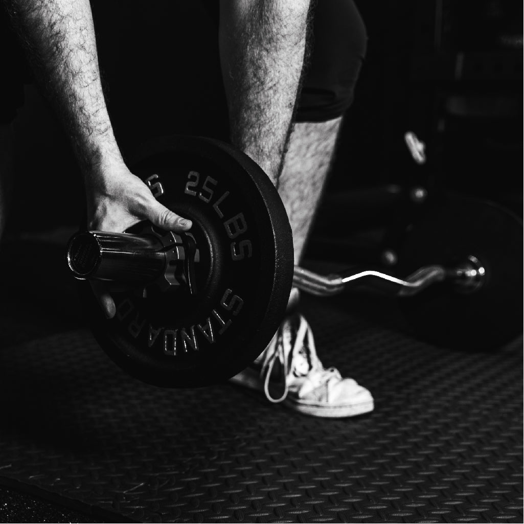 Curl Bar Sets