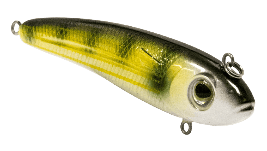 EBS Mullet