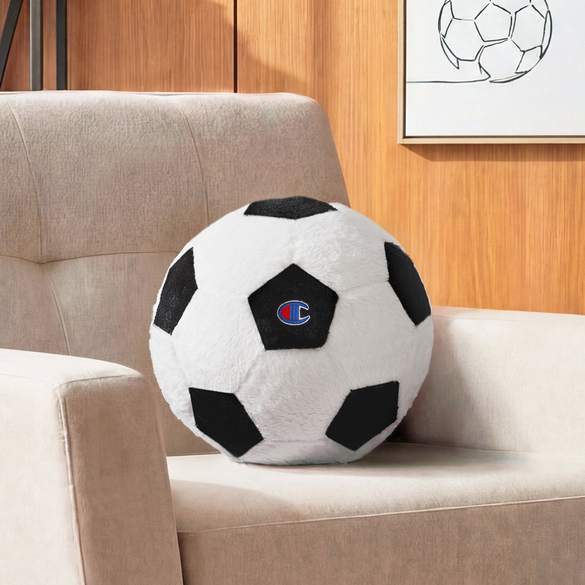 Sport Shaped Pillows